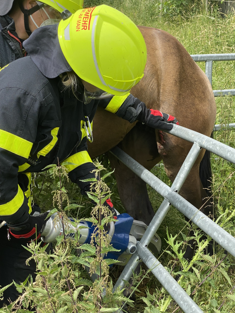 Feuerwehr befreit Pferd