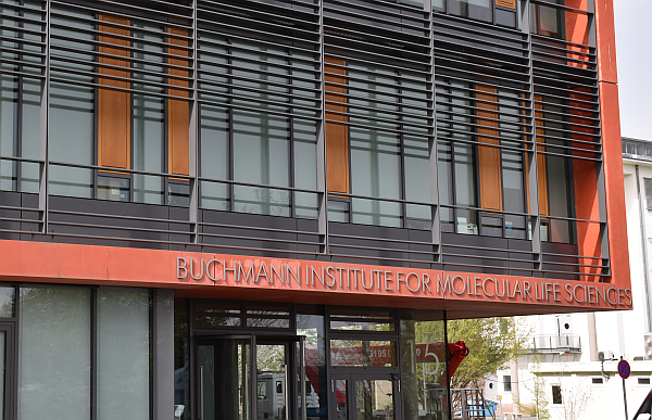Buchmann Institute for Molecular Life Sciences