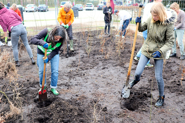Miyawaki-Forest Pflanzung