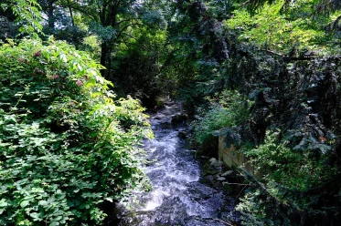 Wilder Urselbach