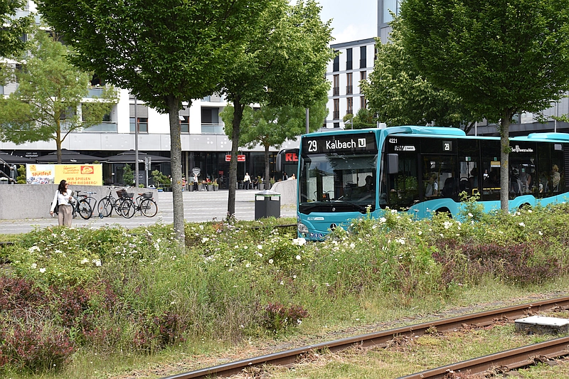 Bus der Linie 29
