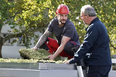 Dach-Begrünung Trafostation