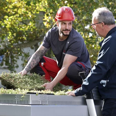 Dach-Begrünung Trafostation