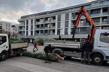 Aufstellung Weihnachtsbaum durch die Stadt FFM