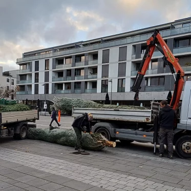 Aufstellung Weihnachtsbaum durch die Stadt FFM