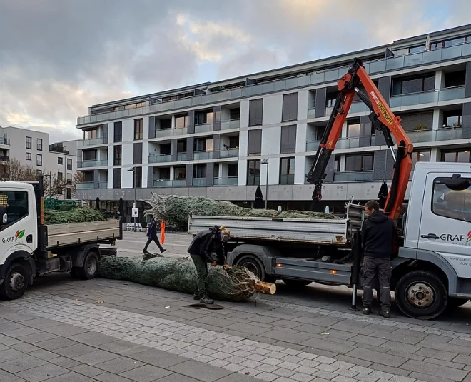 Aufstellung Weihnachtsbaum durch die Stadt FFM