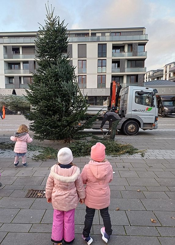 Aufstellung Weihnachtsbaum durch die Stadt FFM