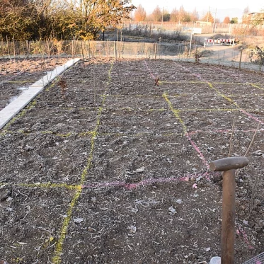 Tiny-Forest Aktion der Goethe-Universität - Das abgesteckte Feld