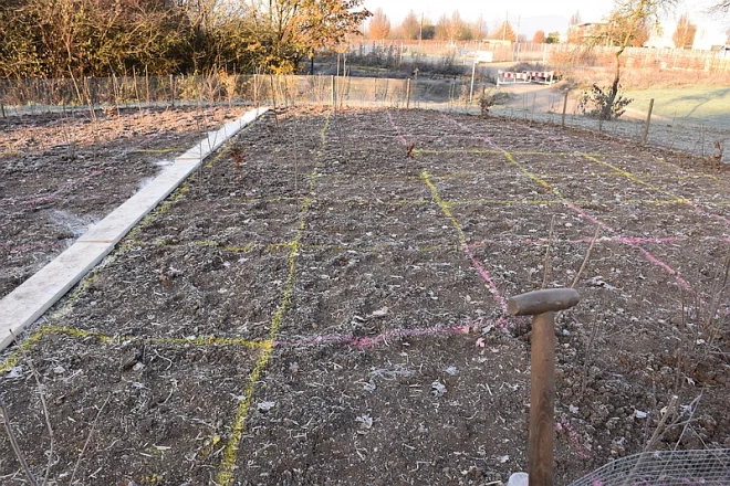 Tiny-Forest Aktion der Goethe-Universität - Das abgesteckte Feld