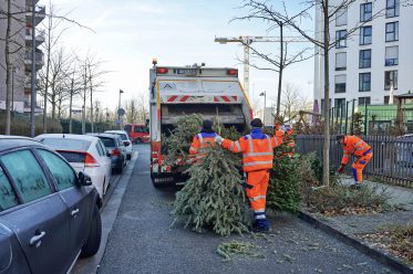 Enge Straße für die Tannenbaumentsorgung der FES