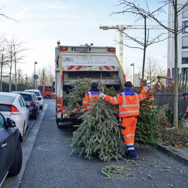 Enge Straße für die Tannenbaumentsorgung der FES