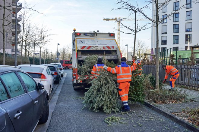 Enge Straße für die Tannenbaumentsorgung der FES