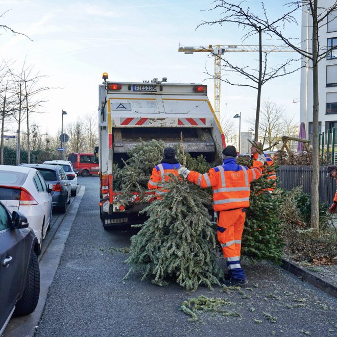 Enge Straße für die Tannenbaumentsorgung der FES