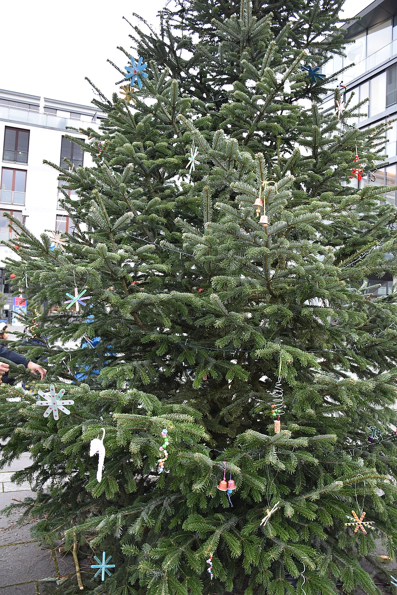 Tannnenbaum frisch geschmückt