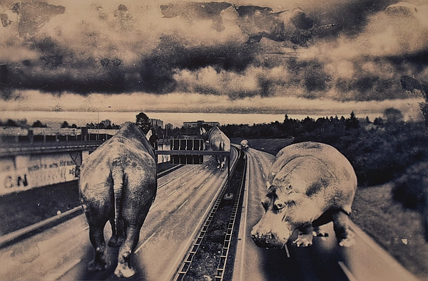 rabirius, Road Blocks, Fotomontage