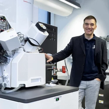 Rasterelektronenmikroskop mit Nanomanipulator