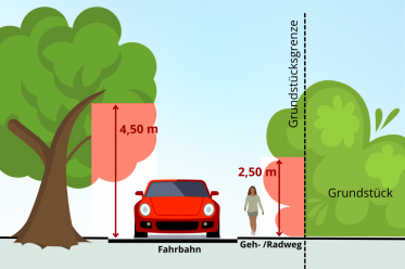 Grafik zum Thema Rückschnitt von Pflanzen an Straßen