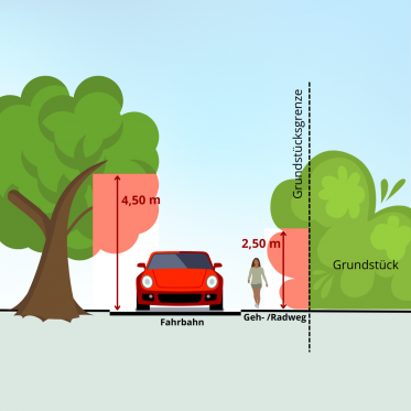 Grafik zum Thema Rückschnitt von Pflanzen an Straßen