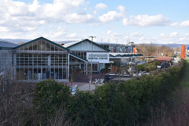 Sunflower Gartencenter