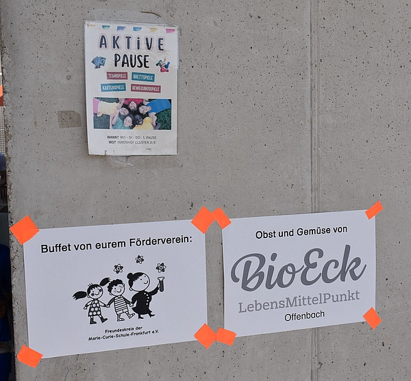 Der SportsFinderDay-Mini: Der Futterbereich